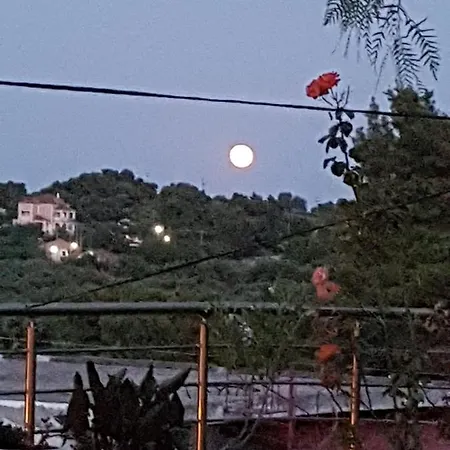 Timos فيلة Agalás