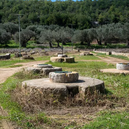 Timos فيلة Agalás